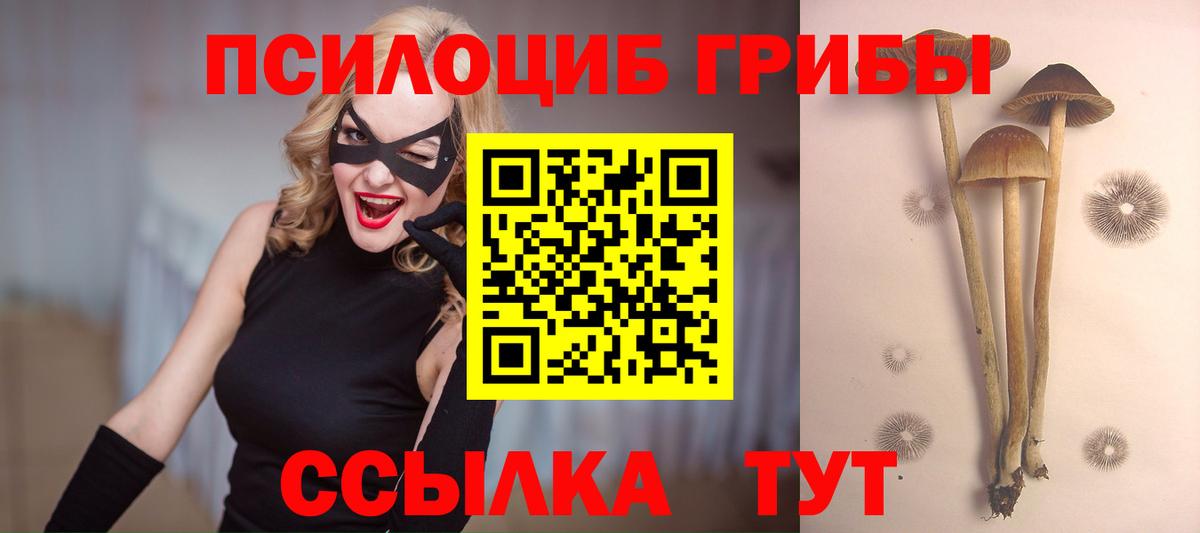 Галлюциногенные грибы Psilocybe  Вход с VPN  Галлюциногенные грибы Psilocybe  купить закладку  Нефтеюганск 